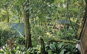 Rimba Eco Resort